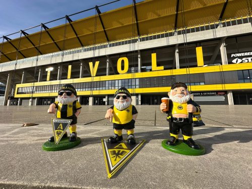 Alemannia Gartenzwerg "Karli" – Bild 3